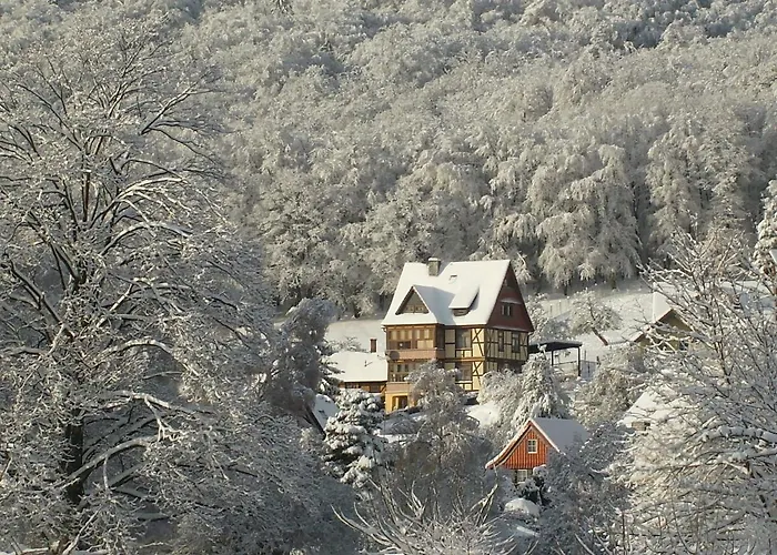 Scarlett Apartment Ilsenburg