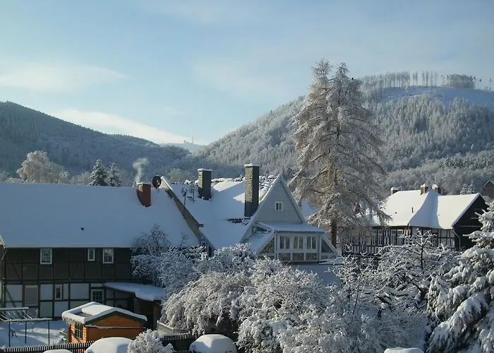 Scarlett * 일젠부르크